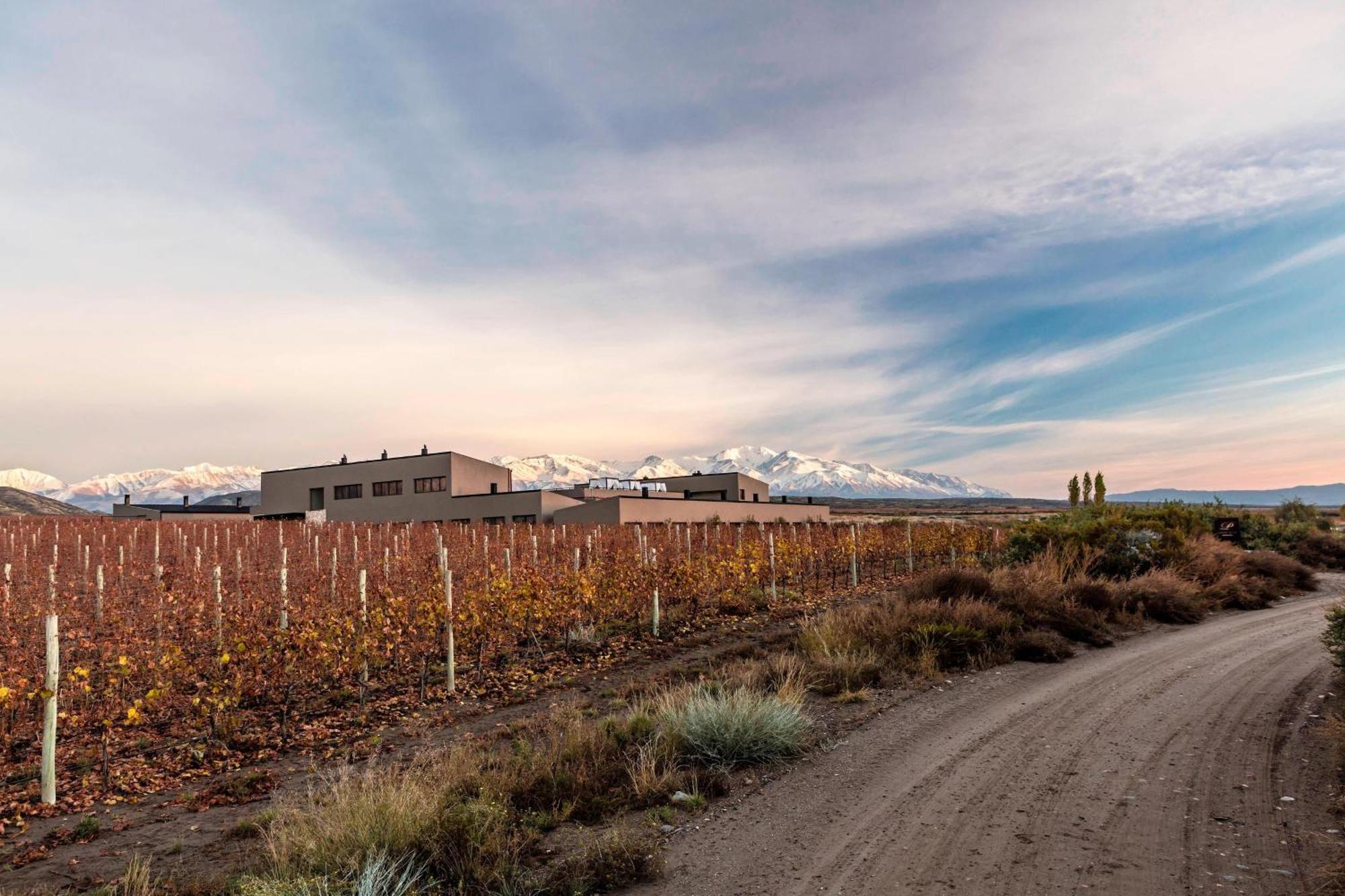 Auberge Du Vin, A Tribute Portfolio Hotel Tupungato Exterior photo