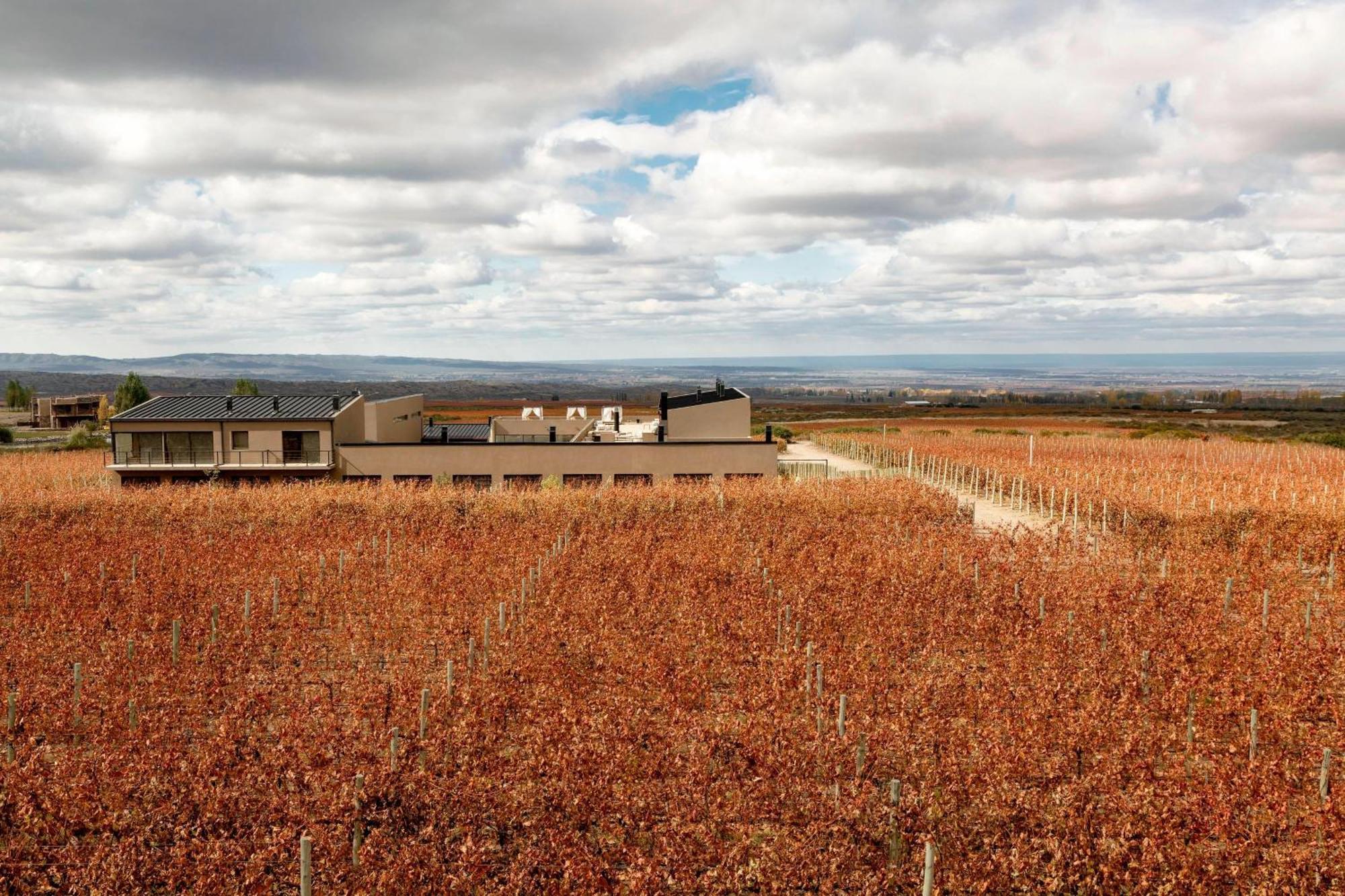 Auberge Du Vin, A Tribute Portfolio Hotel Tupungato Exterior photo